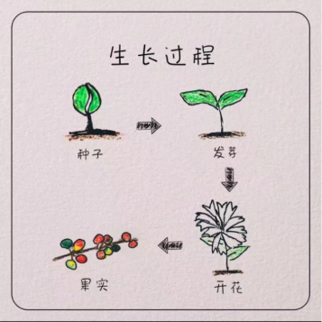 QQ图片20161207143147.png